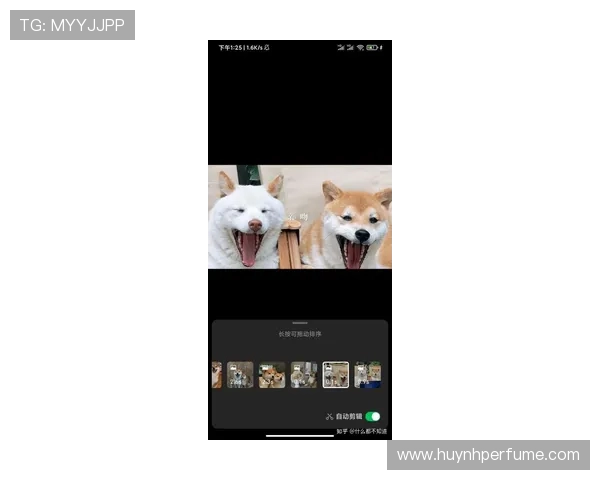 关于ag盘口的详细介绍与玩法技巧帮助玩家提升盈利水平的全面指南